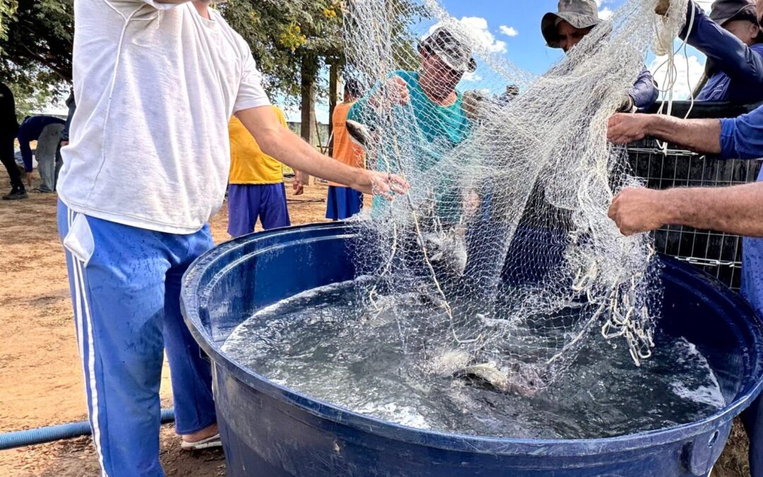 Secretaria de Justiça distribui 340 kg de peixes produzidos na Major César