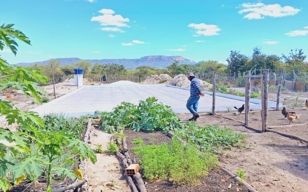 ONG instala cisterna para agricultores de Pedro II