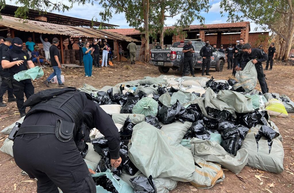 Polícia Civil incinera mais de uma tonelada de drogas em Teresina