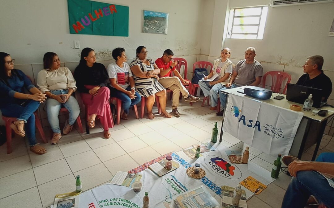 ONG ministra curso para servidores de Piripiri-PI e Capitão de Campos-PI