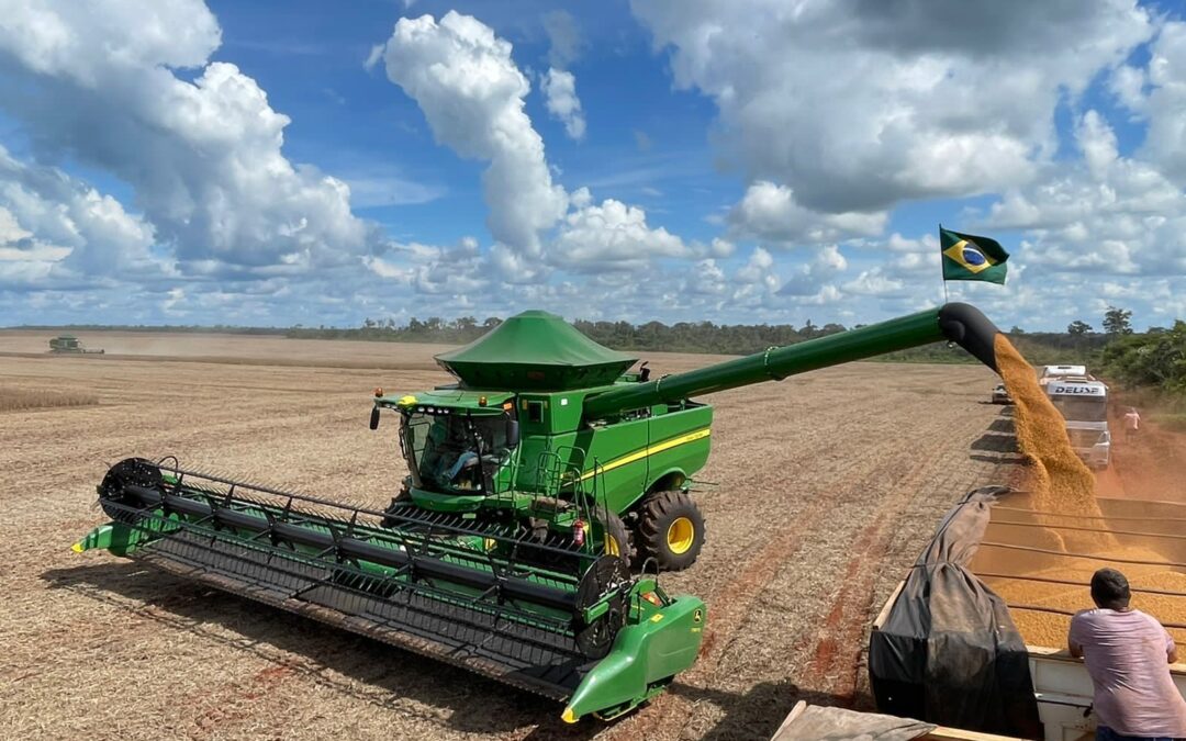Piauí reduz produção agrícola