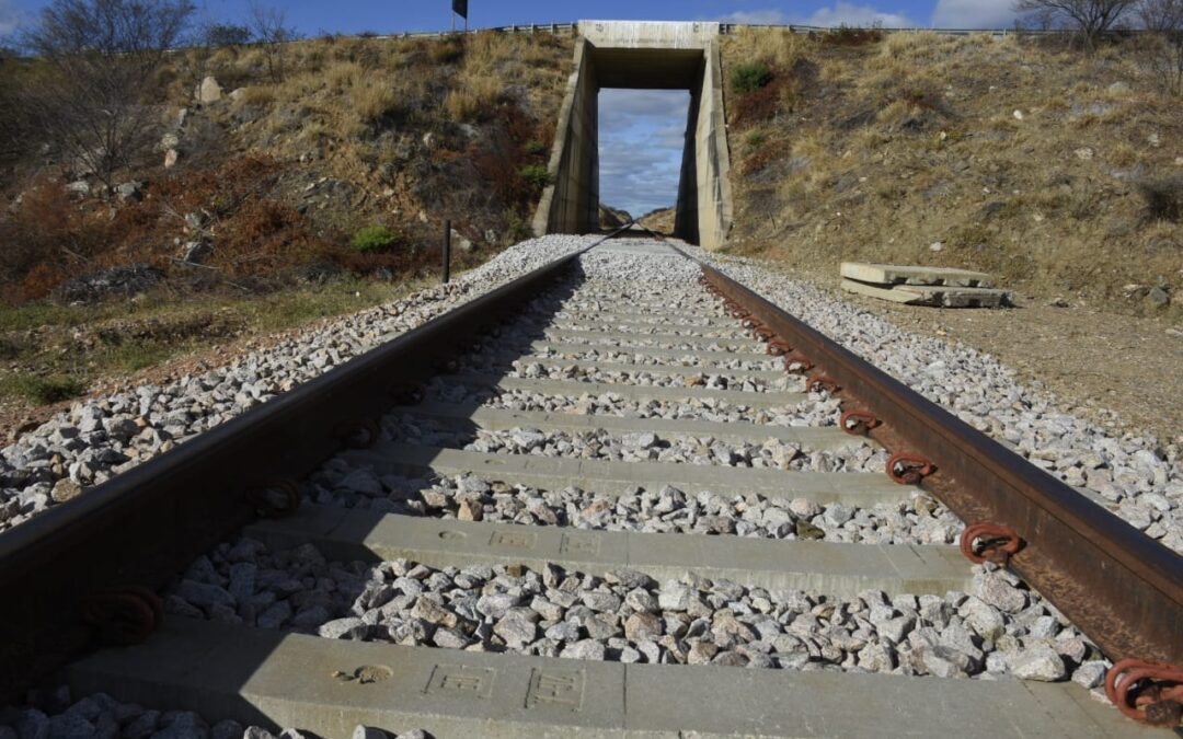 Viagem inaugural da Transnordestina entre o Piauí e o Ceará será nesta semana