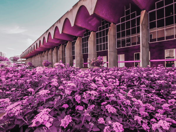 Assembleia não conclui reforma e realiza Feira, Corrida e arrecadação de brinquedos