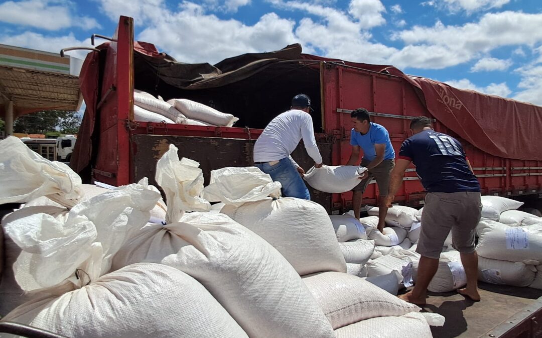 Casas de Sementes da Fartura entregam milho, feijão e fava à SAF