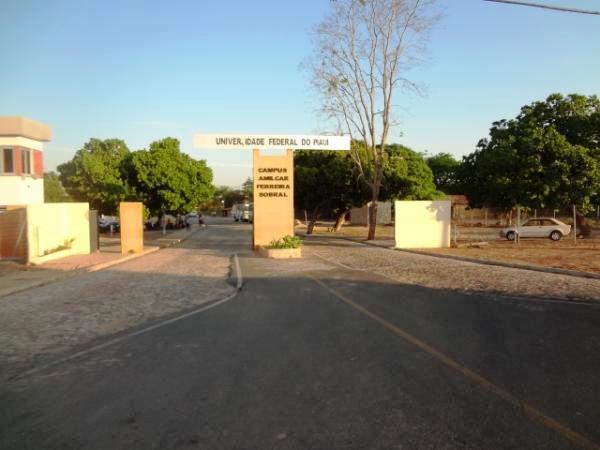 Floriano conquista primeiros ouros da UFPI na OLITEF e amplia participação feminina na Educação Financeira