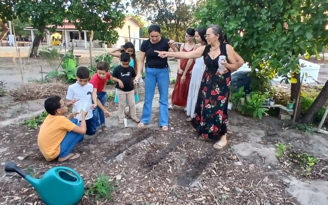 CERAC e Embrapa realizam aula de campo com crianças em Pedro II
