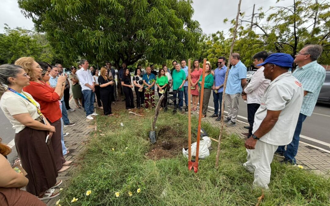 TCE executa Plano de Arborização