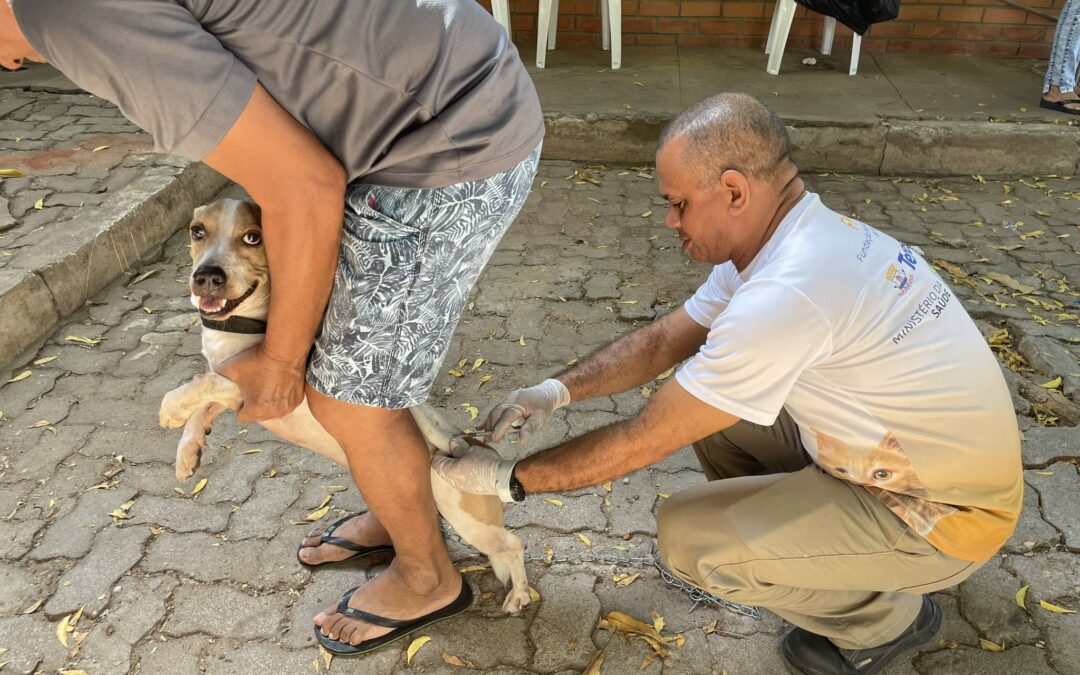Vacinação contra a raiva na zona rural é neste sábado (18)