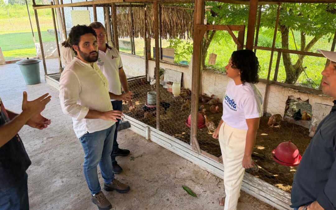 Piauí lança cooperativa para fortalecer a agricultura familiar